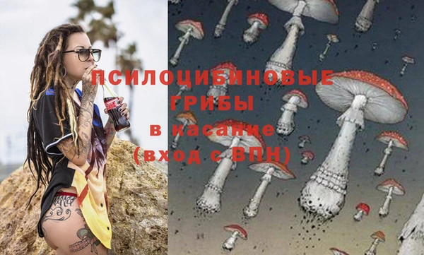 МДПВ Слюдянка