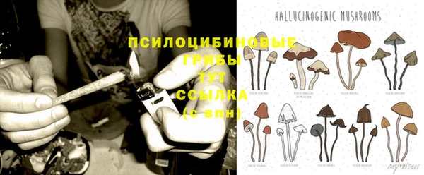 круглые Арсеньев